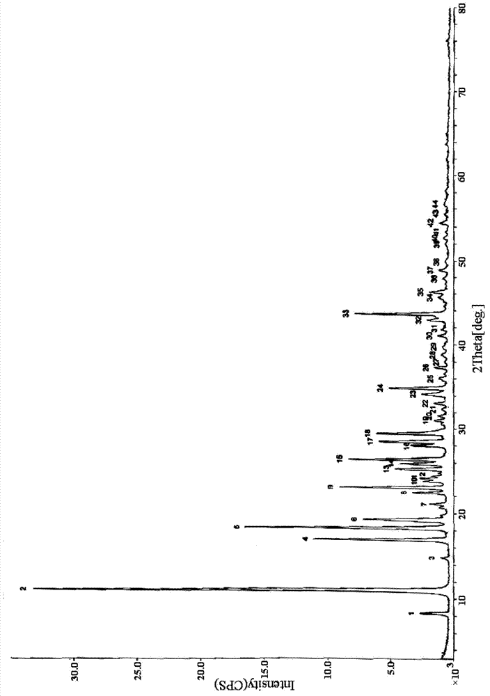 Nelarabine injection composition and preparation method thereof