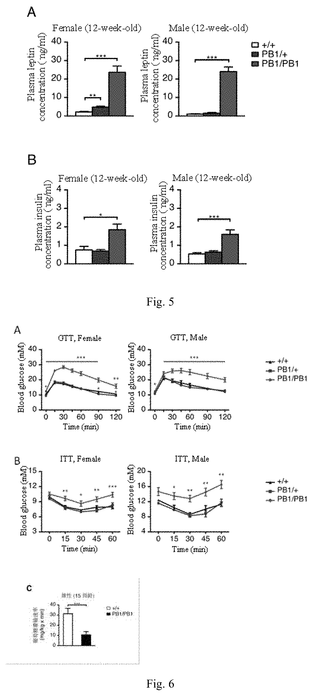 Application of gpr45 gene