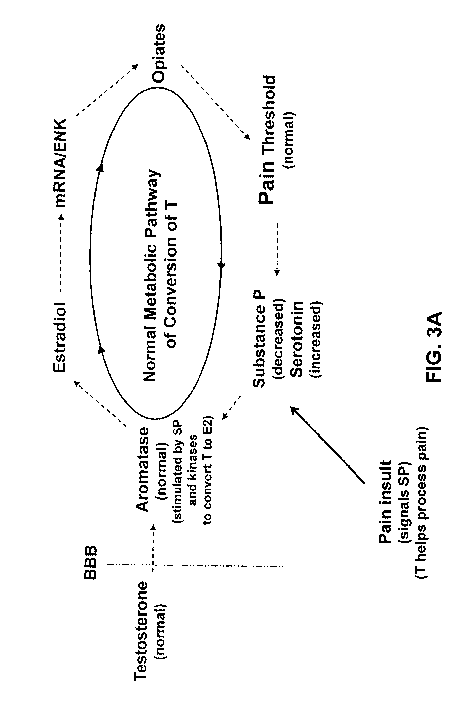Methods for Treating Chronic or Unresolvable Pain and/or Increasing the Pain Threshold in a Subject and Pharmaceutical Compositions for Use Therein