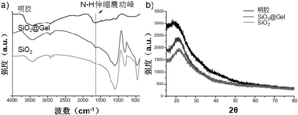 High-specificity and high-purity tumor cell sorting method based on double-antibody and cell density