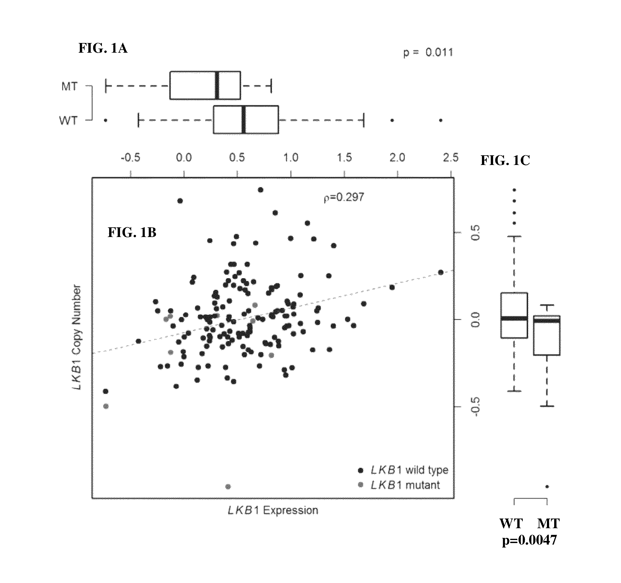 LKB1 Levels and Brain Metastasis from Non-Small-Cell Lung Cancer (NSCLC)