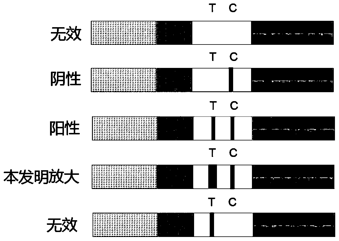 Test strip based on TdT signal amplification technique and preparation method thereof