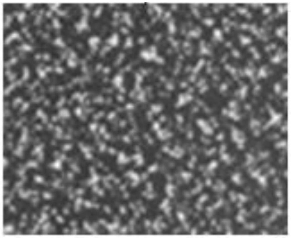 Unilateral electrode ionic polymer pressure sensing array and preparation method thereof