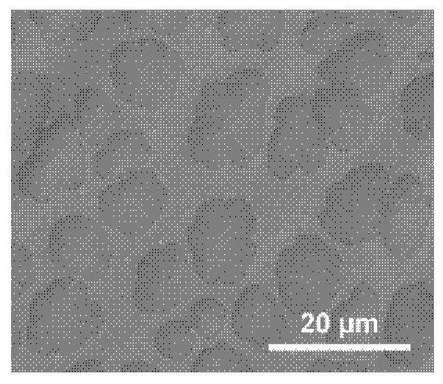 Method for preparing component-adjustable two-dimensional h-BNC hybrid thin film