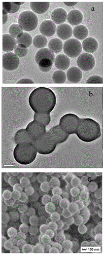 Porous ionic/molecular imprinted polymer preparation method