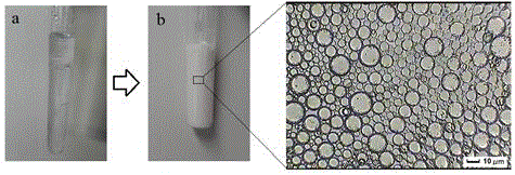Porous ionic/molecular imprinted polymer preparation method