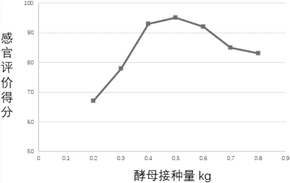 Ganoderma lucidum and blueberry wine and preparation method thereof