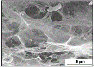 Microbial fuel cell based on trimethylamine oxide medium