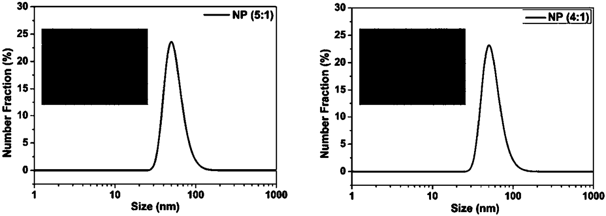 Chitosan-based antigen release rate-adjustable nano-vaccine, and preparation method and application thereof