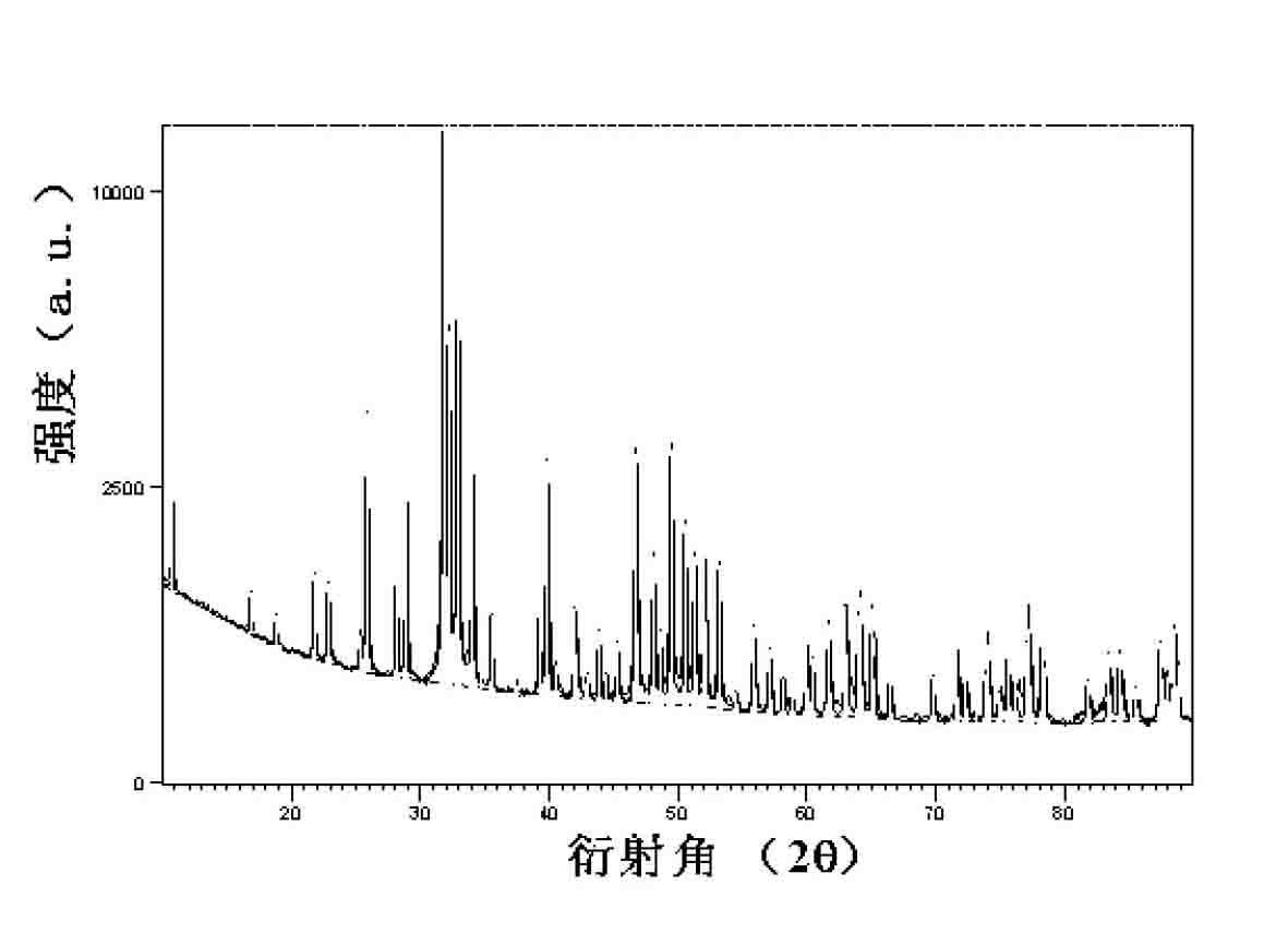 Natural biomineralization powder, preparation method thereof and application thereof