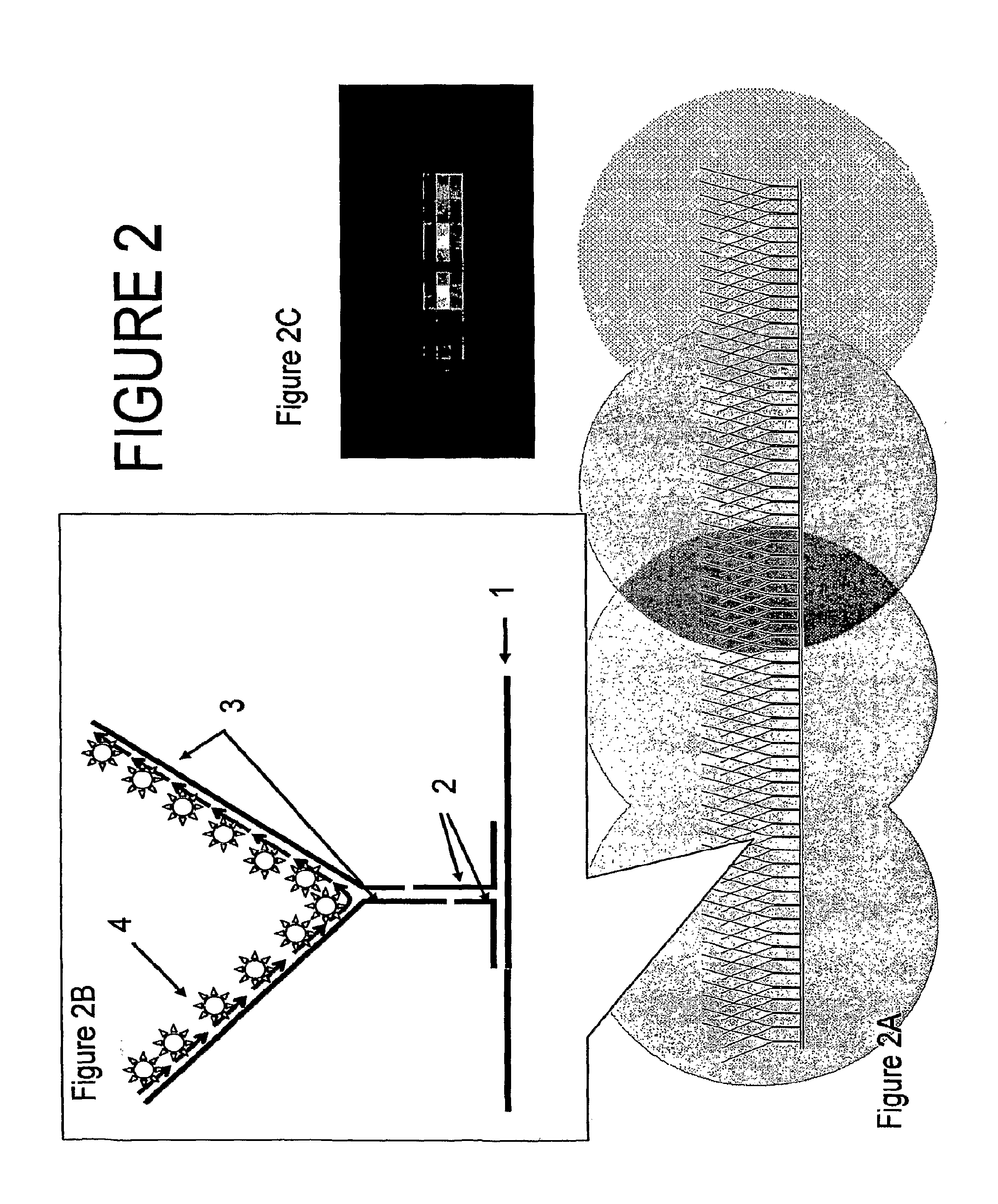 Nanoreporters And Methods Of Manufacturing And Use Thereof