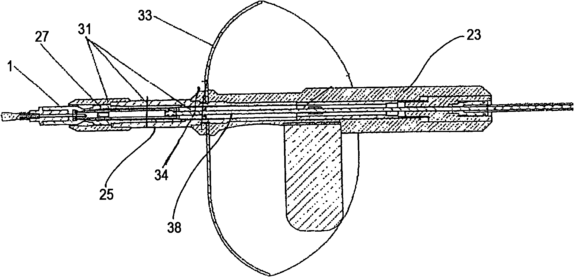 Applicator for applying a radioactive substance to a biological tissue
