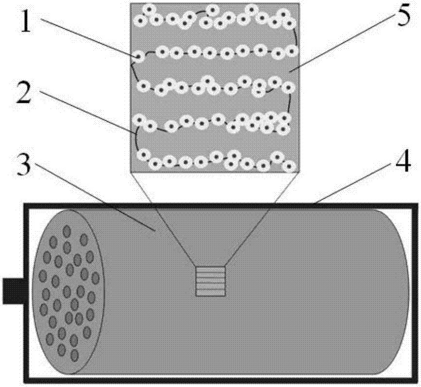 Building method of active bio-battery based on electrocytes