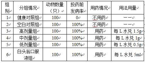 Preparation process and application of Chinese pulsatilla root granules for livestock and poultry