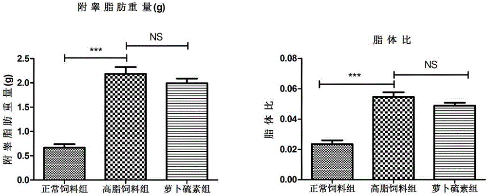 Liver protection effect and application of sulforaphen in non-alcoholic fatty liver