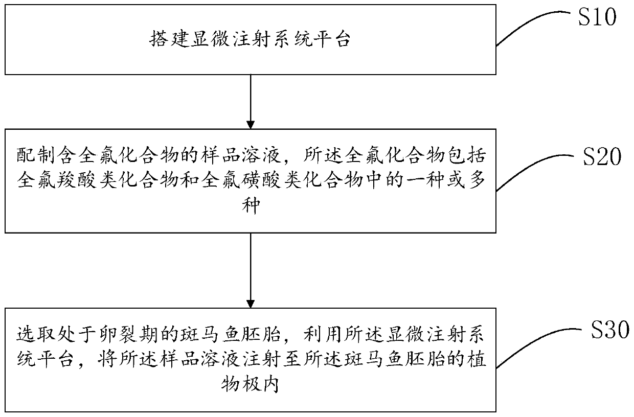 Construction method and application of zebra fish embryo perfluorinated compound internal exposure model
