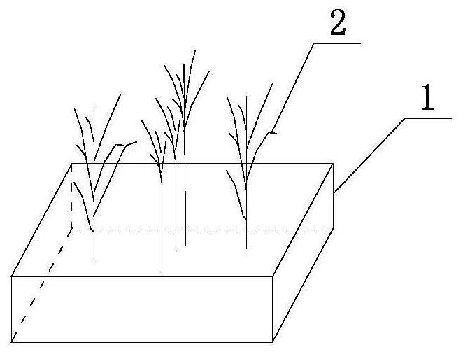 A corrosion-resistant carbon fiber artificial water grass brick and its preparation method
