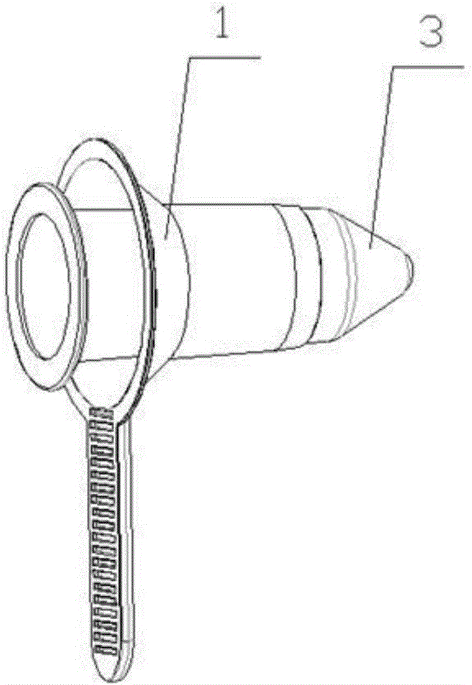 Anoscope