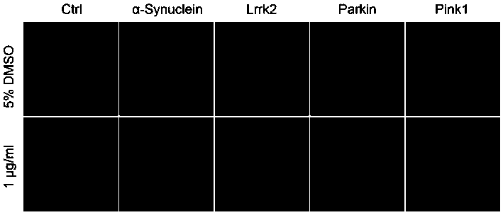 Application of pd0325901 in the preparation of medicines for treating Parkinson's