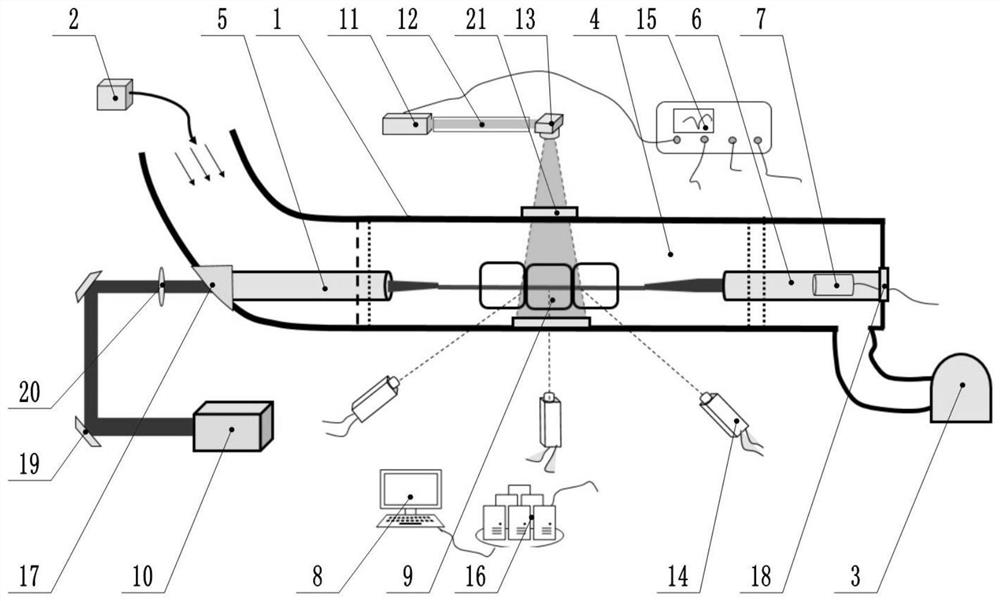 Device and method for observing cloud and mist drops impacted by femtosecond laser filamentation