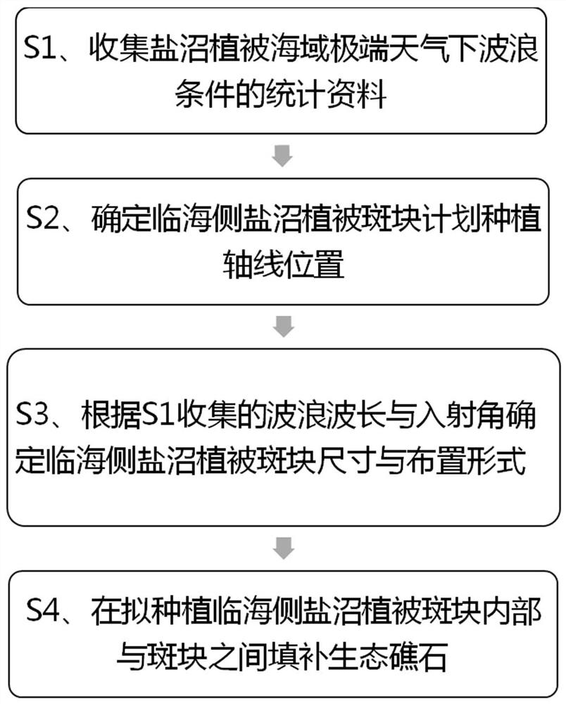 Layout method for coastal vegetation patches