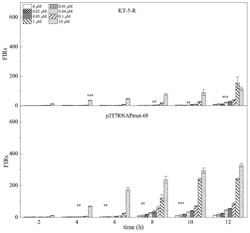 Construction method for circuit amplification of cadmium ion whole-cell biosensor