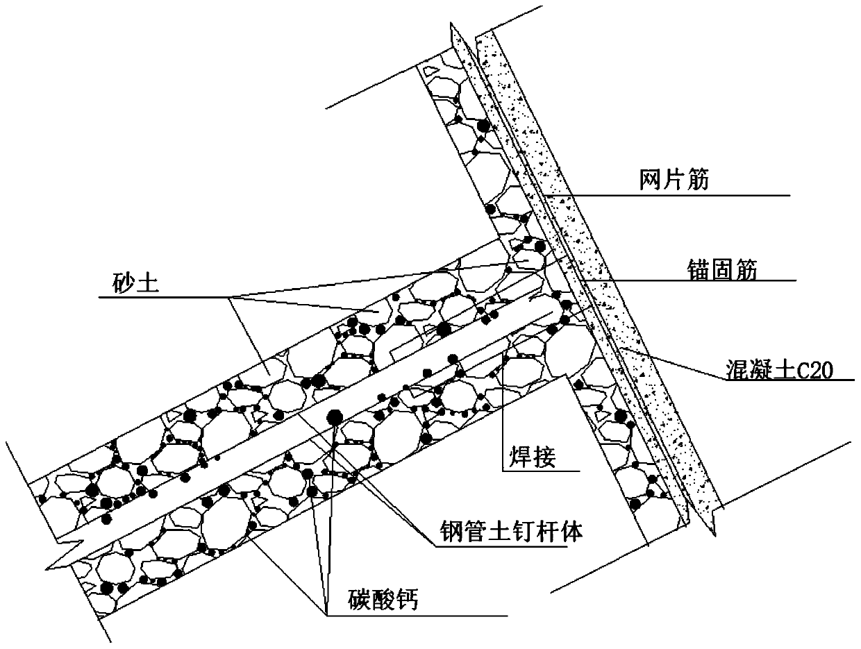 Microorganism curing striking-in type steel pipe soil nail and construction method thereof