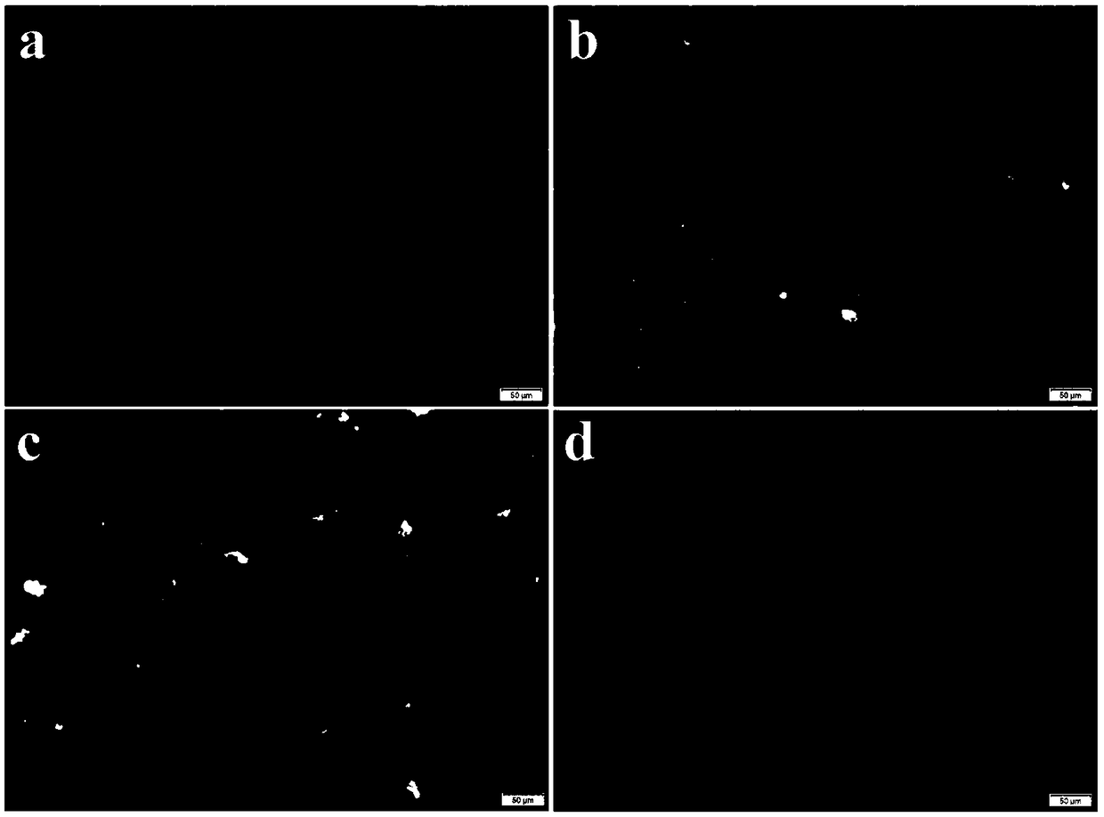 Nanometer bismuth vanadate-zinc electroplating layer and preparation method and application thereof