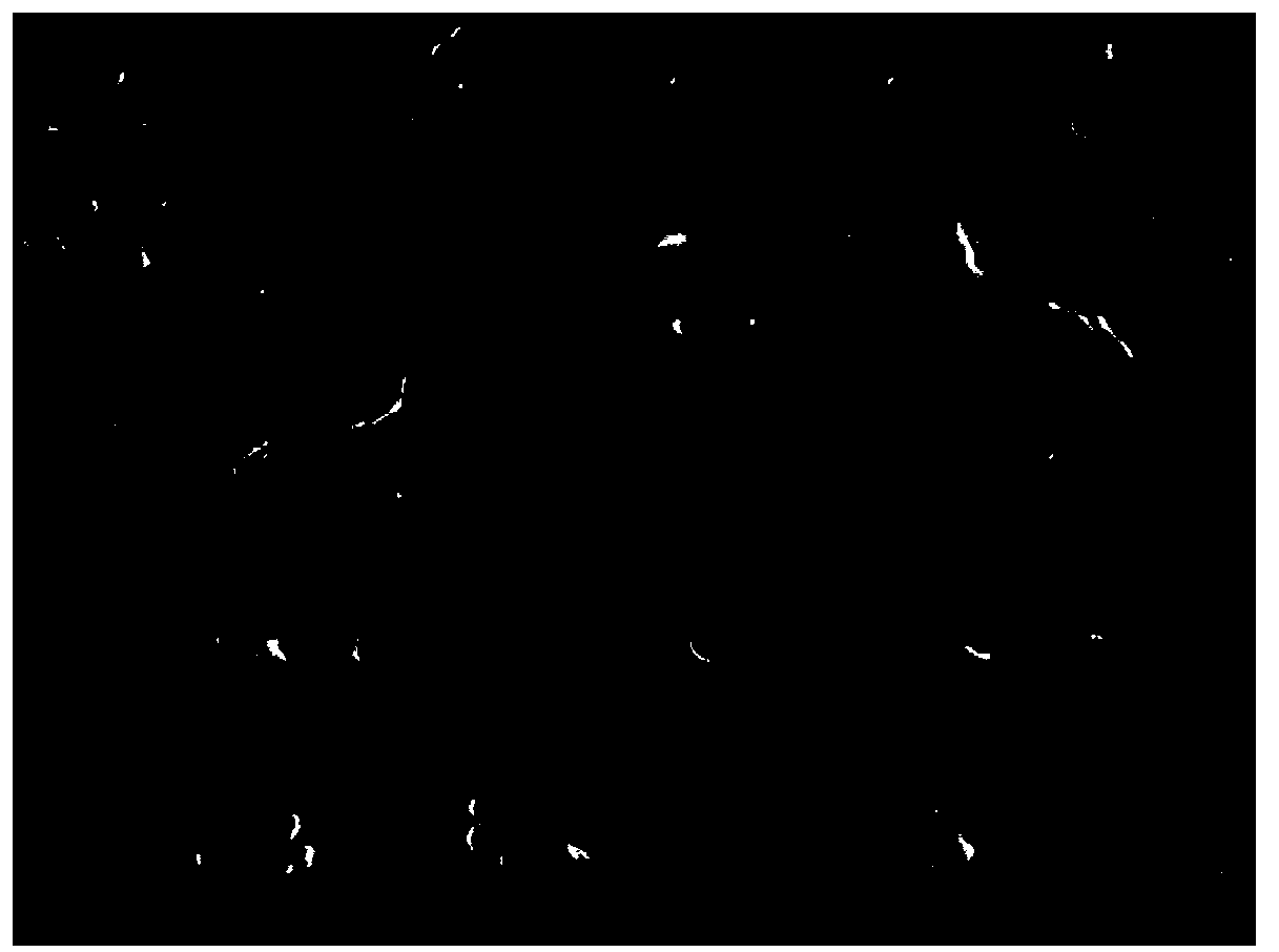 Method for removing divalent cadmium in wastewater by utilization of microcystis aeruginosa gel beads