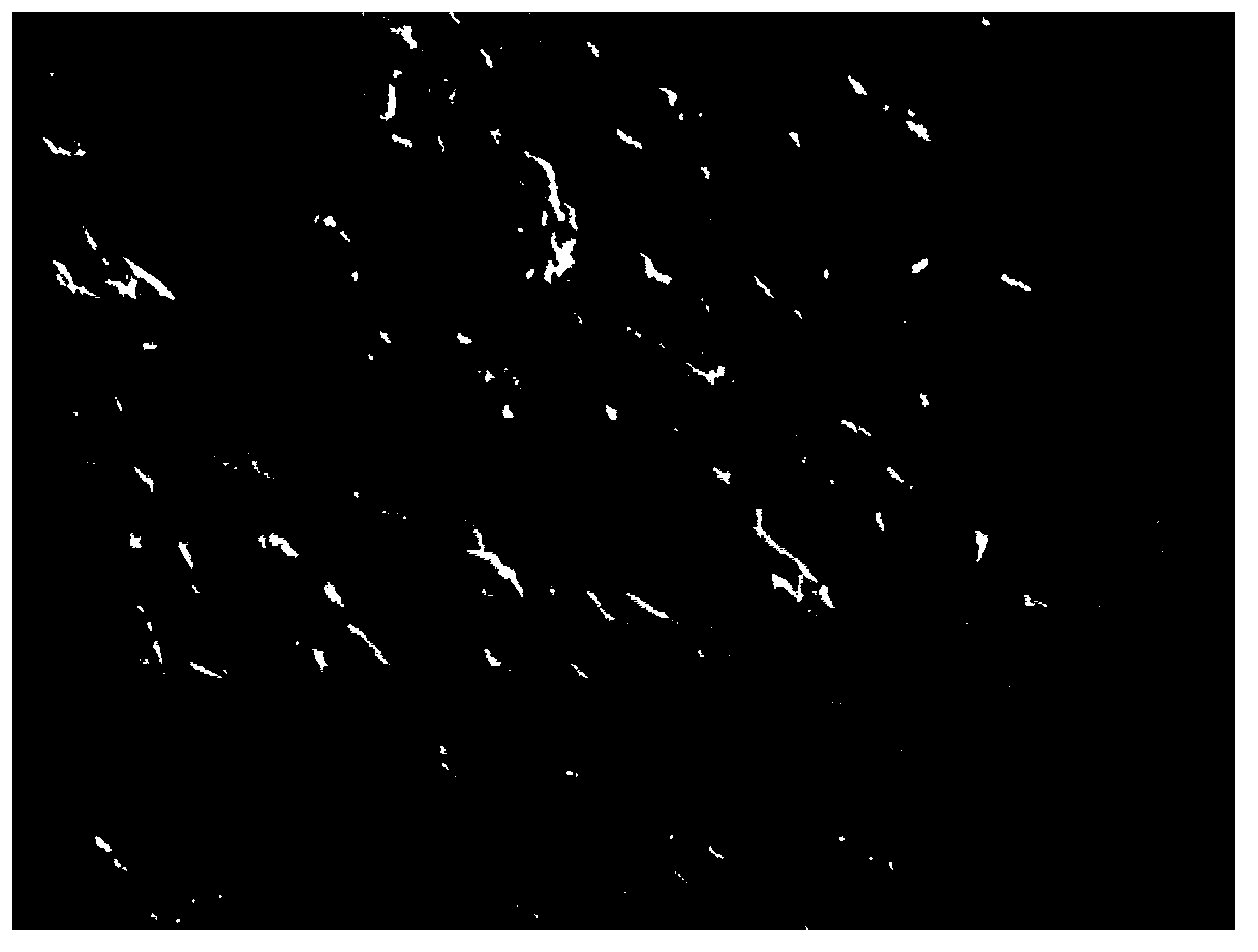 Method for removing divalent cadmium in wastewater by utilization of microcystis aeruginosa gel beads