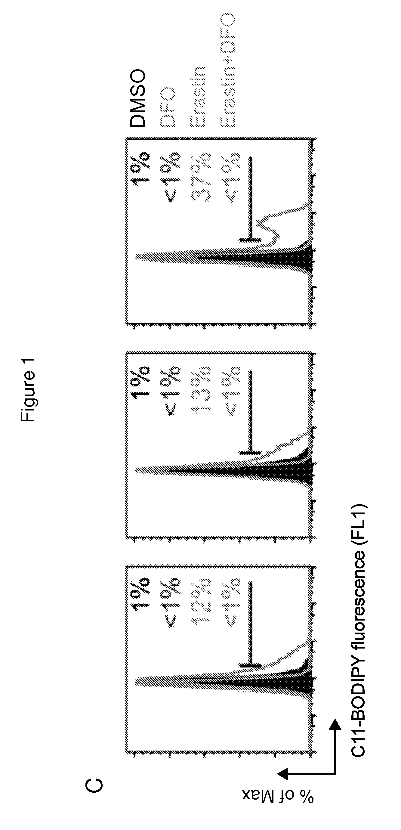 Compounds, compositions, and methods for modulating ferroptosis and treating excitotoxic disorders