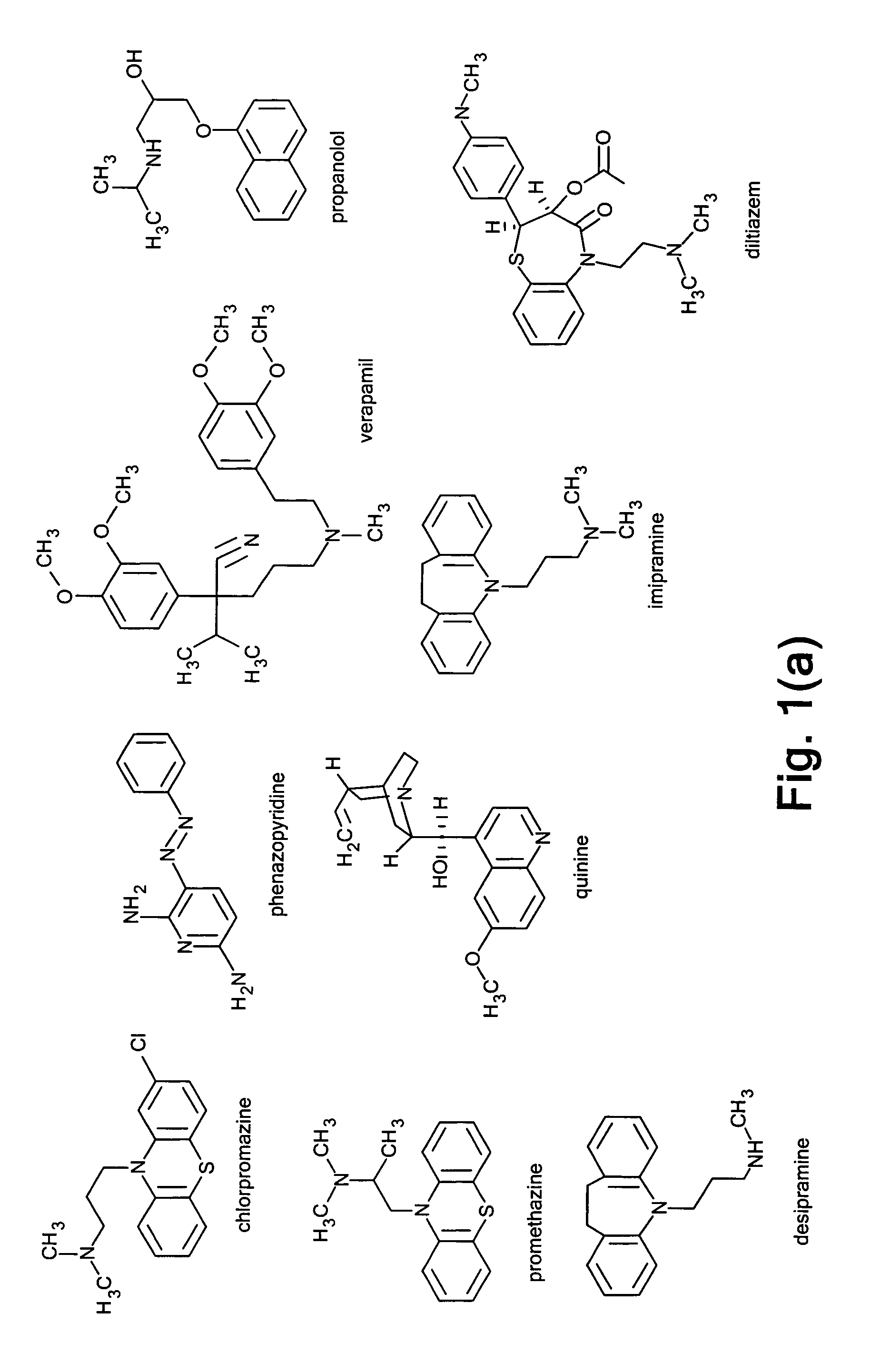 Method and apparatus for improving in vitro measurement of membrane permeability of chemical compounds