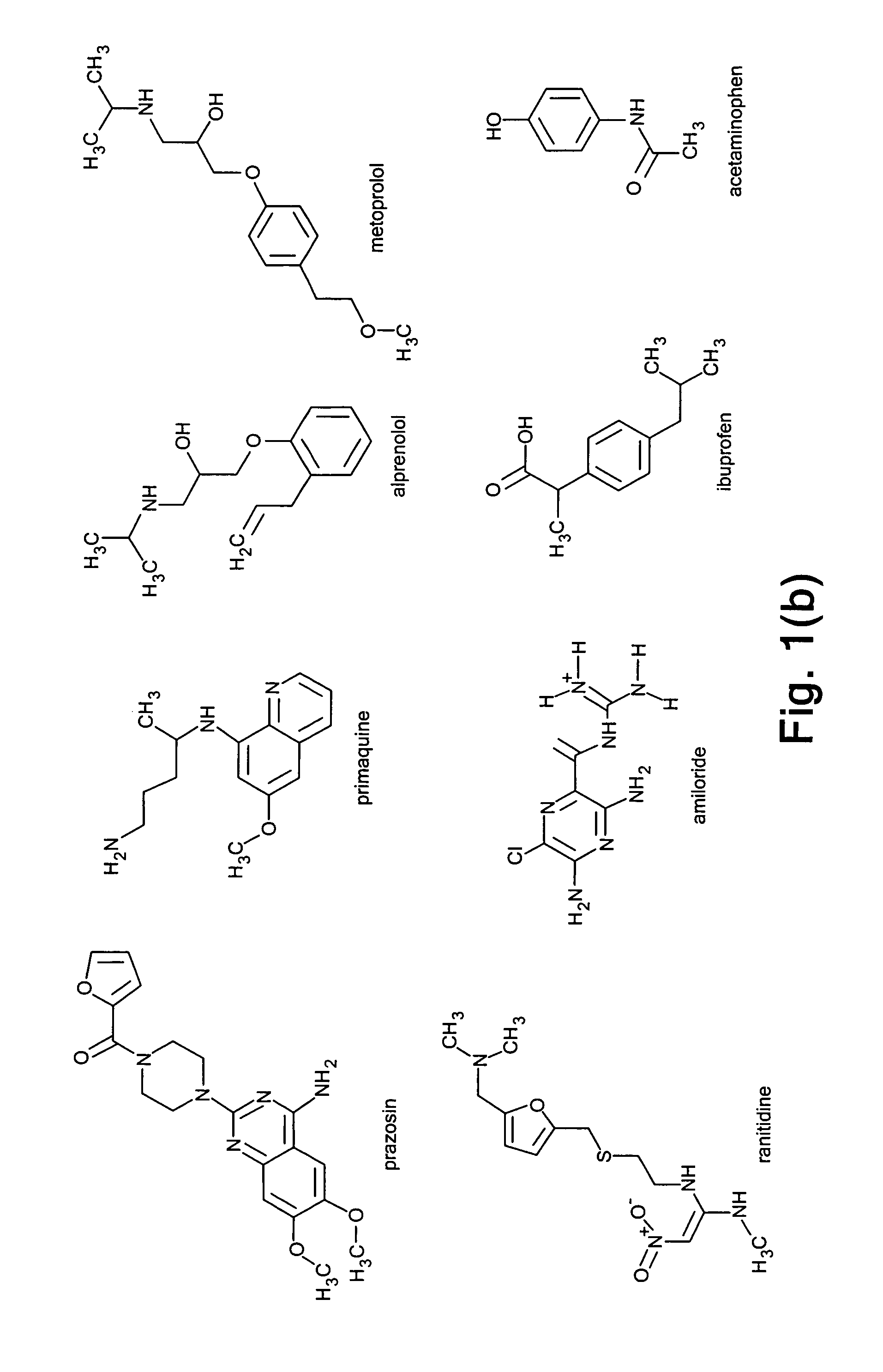 Method and apparatus for improving in vitro measurement of membrane permeability of chemical compounds