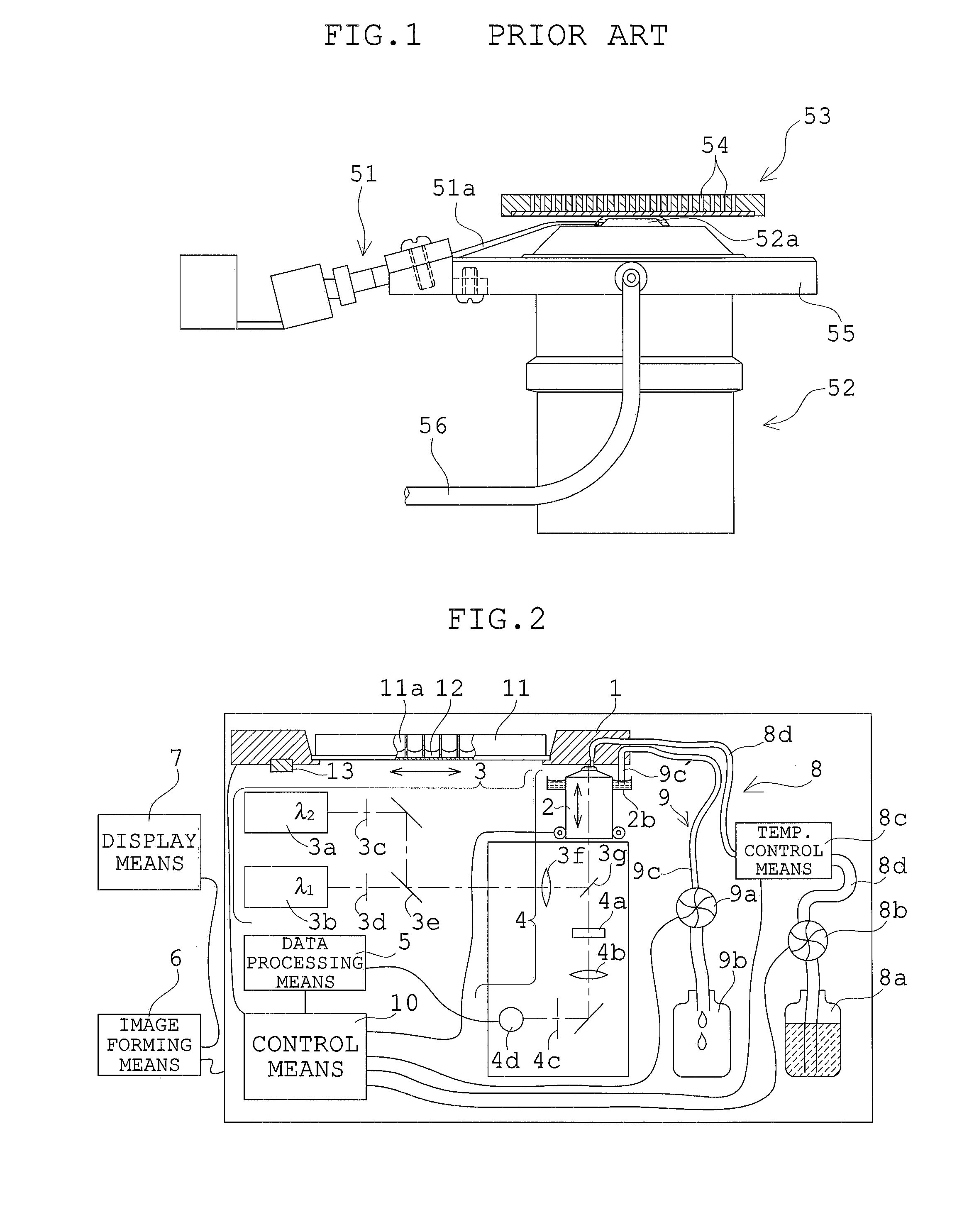 Observation apparatus provided with immersion objective lens