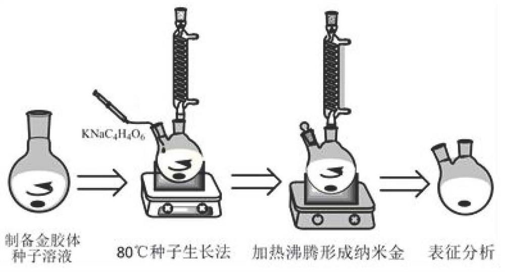 A kind of preparation method of nano-gold particles with different particle sizes