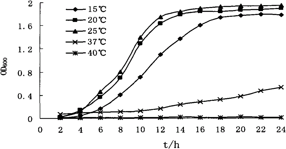 Aeromonas 6-38 and application thereof