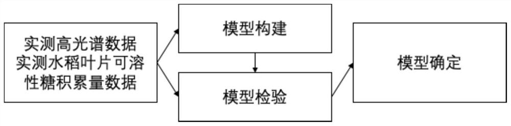 Rice leaf soluble sugar accumulation remote sensing inversion model and method based on LightGBM regression algorithm