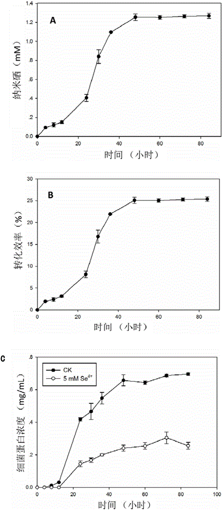 Method for biosynthesis of nano-selenium by utilization of Agrobacterium tumefaciens and application thereof