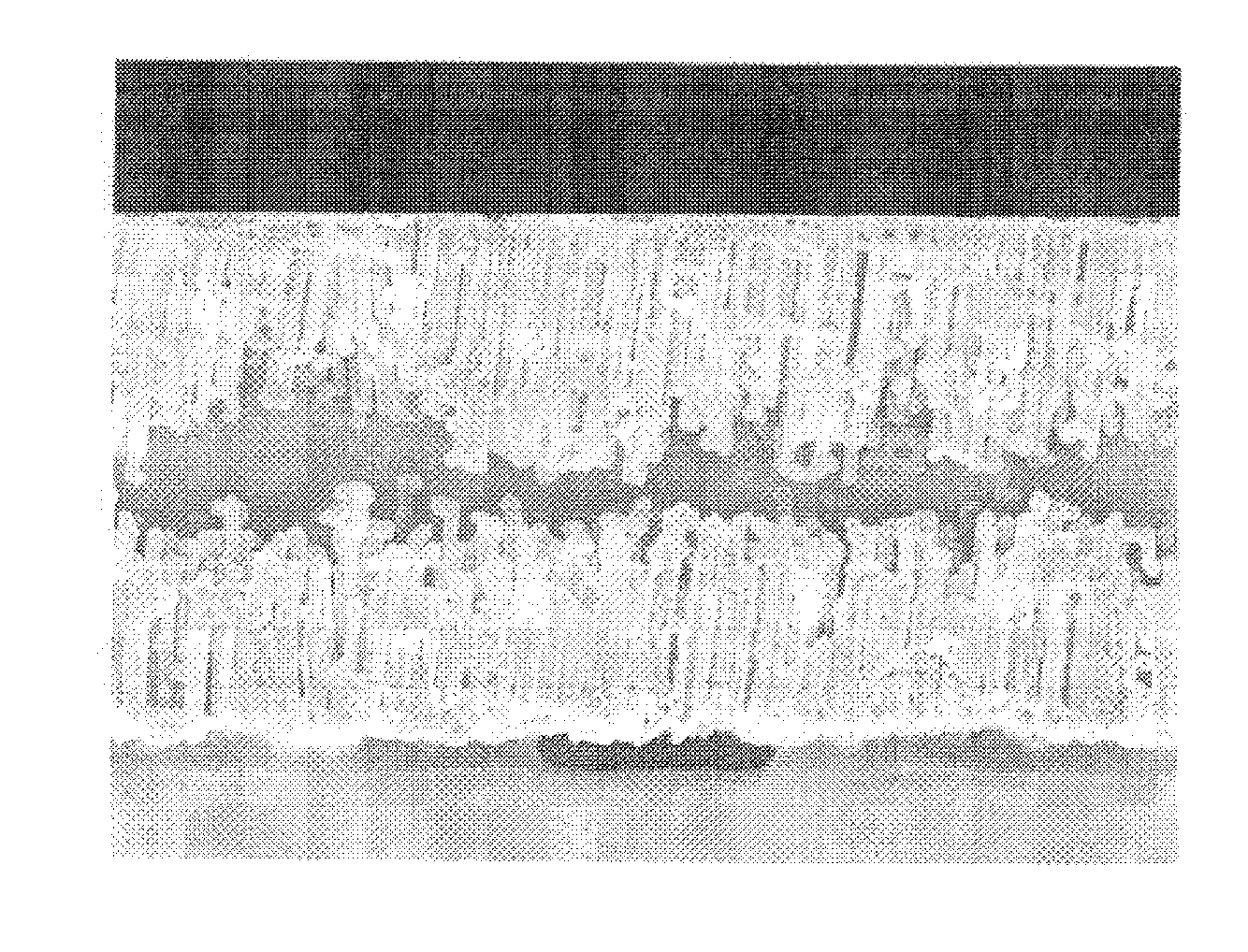 Electrode material for aluminum electrolytic capacitor and process for producing the electrode material