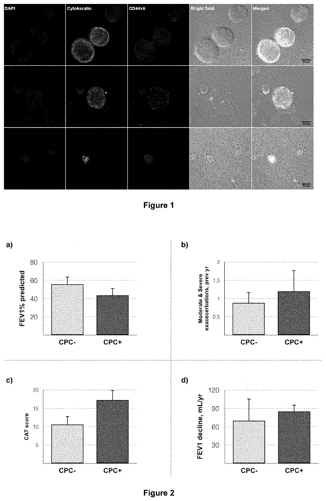 Isolation of cells of epithelial origin circulating in peripheral blood