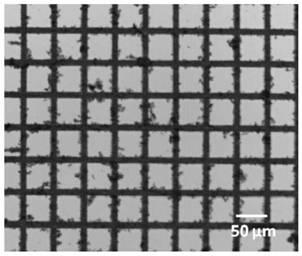 Preparation method of carbon nanometer film/nano-micrometer network composite film