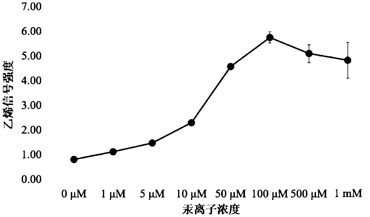 Nucleic acid protein complex allosteric microbial whole-cell gas sensor used for heavy metal detection