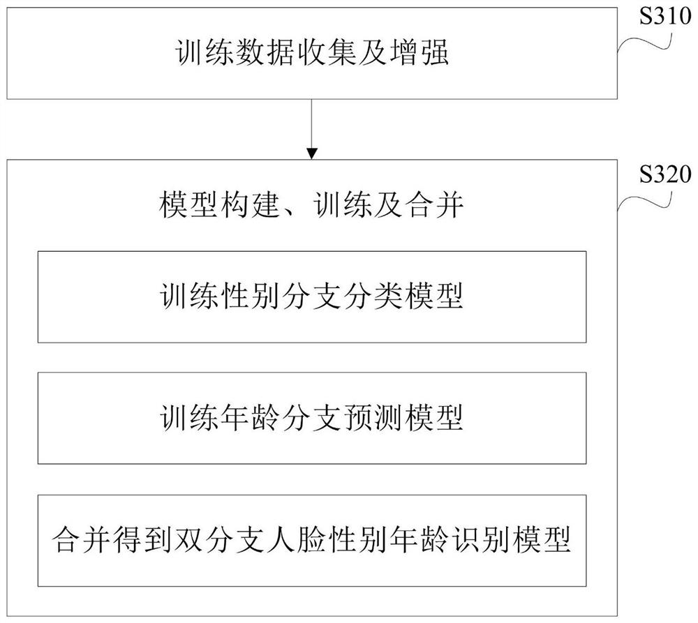Face gender and age recognition method and device, electronic equipment and storage medium