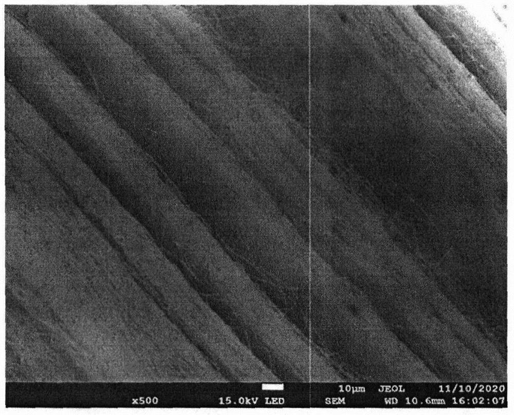 Practical intelligent carrier for long-acting control of membrane biological pollution by adopting D-amino acid and preparation method of practical intelligent carrier