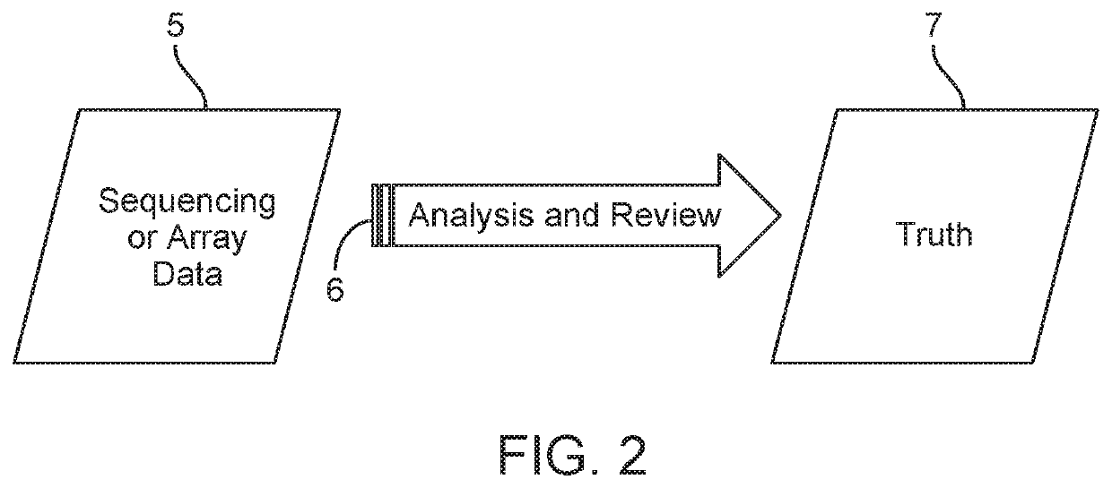 Methods and systems for calling ploidy states using a neural network