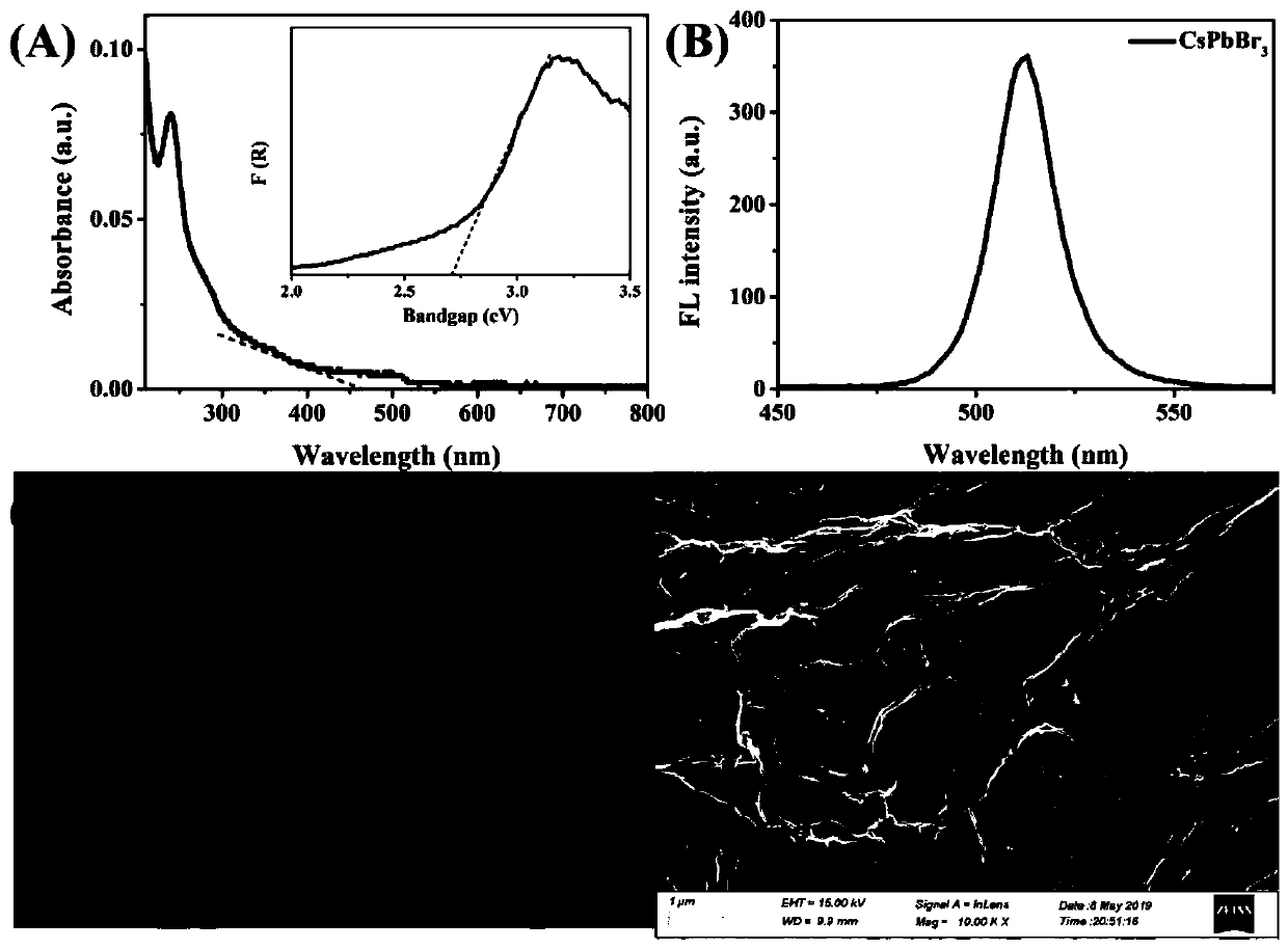 Molecularly imprinted photoelectrochemical sensor based on CsPbBr3/GO homo-heterostructure, and preparation method and application thereof