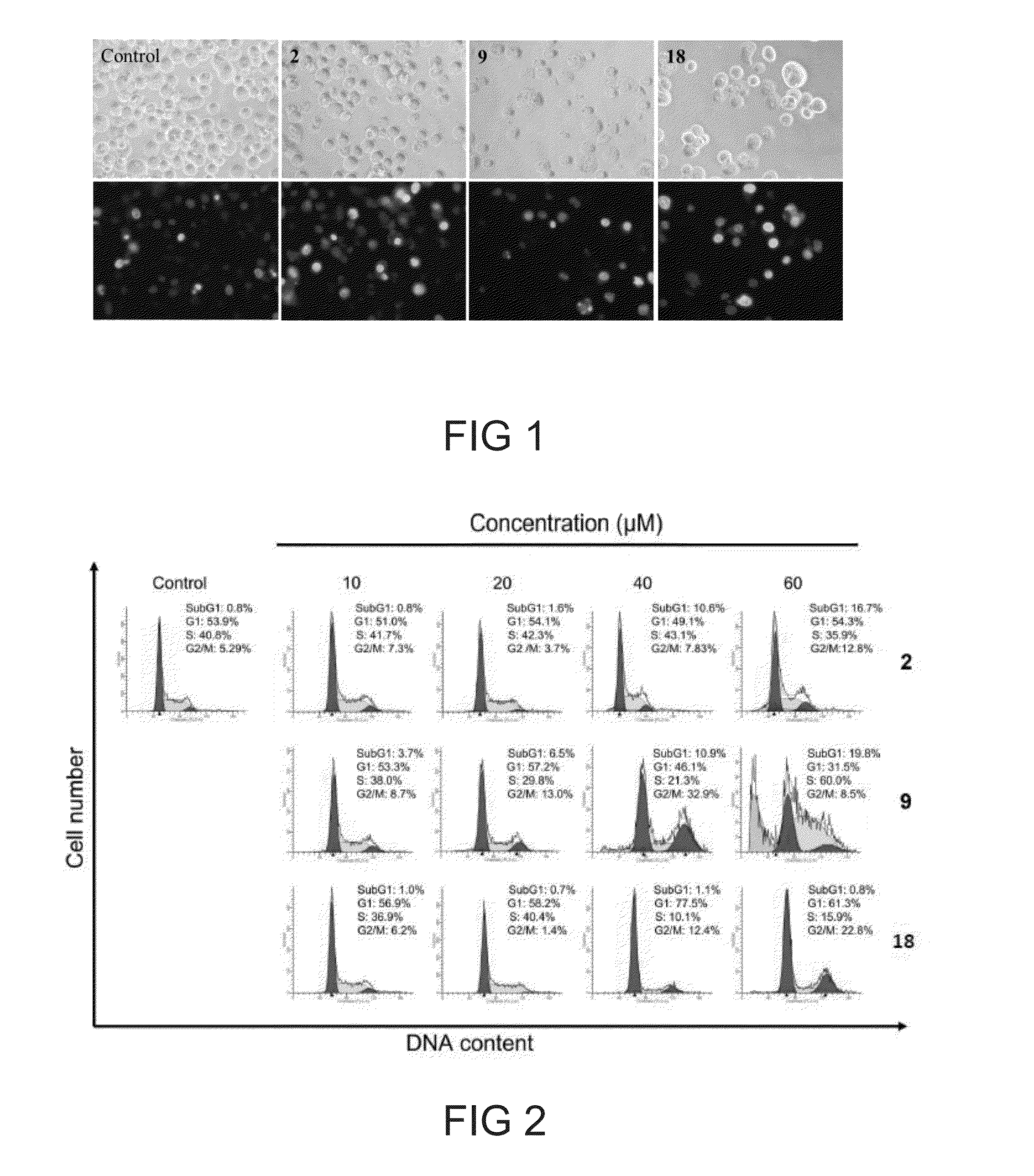 Novel lipophilic n-substituted norcantharimide derivatives and uses thereof