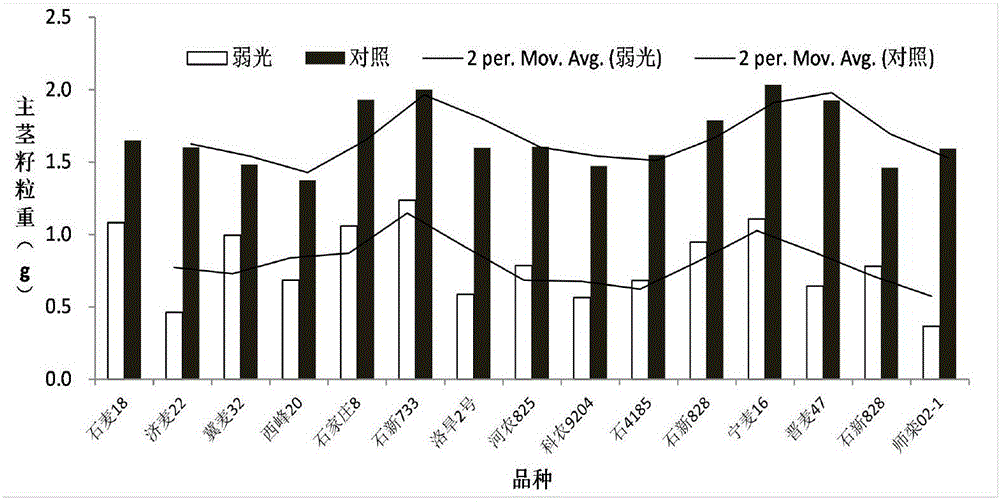 A method of screening and selecting crops resistant to low light