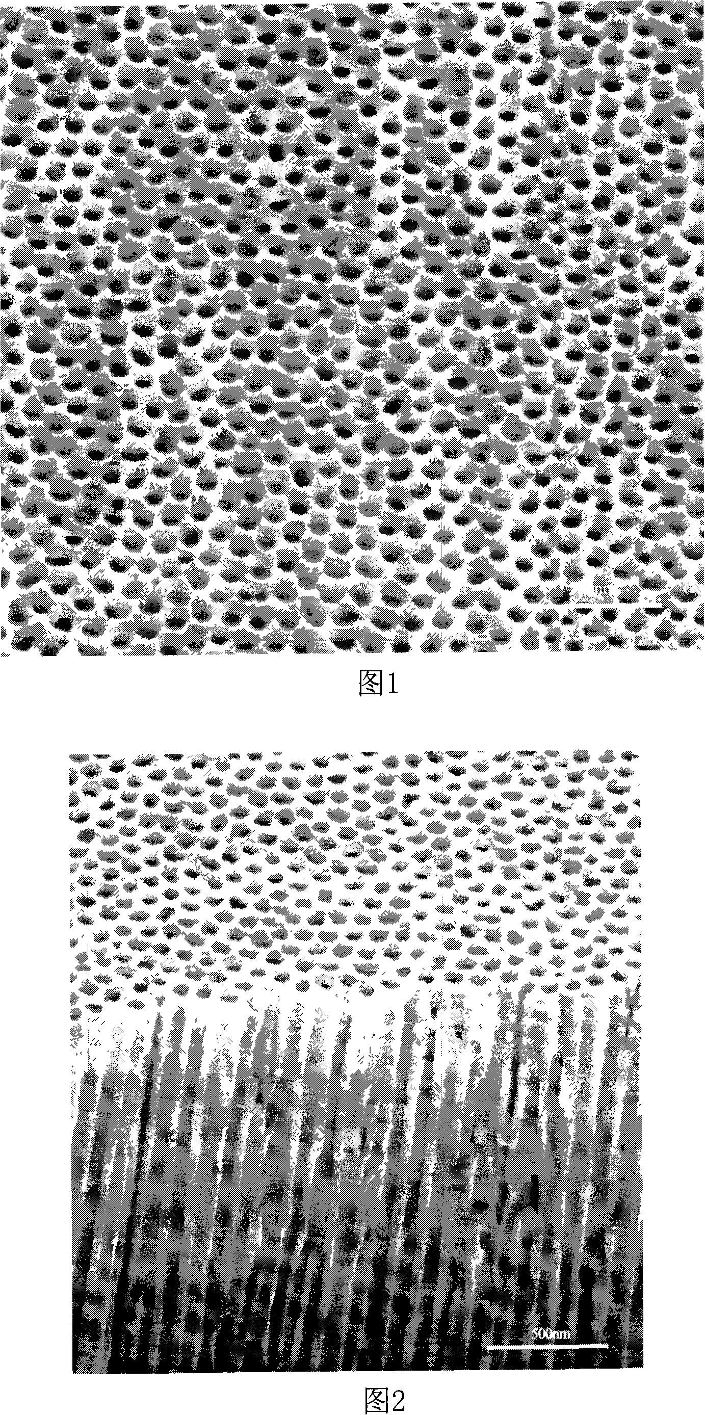 Large area electron field emission nano structure array and its preparation method