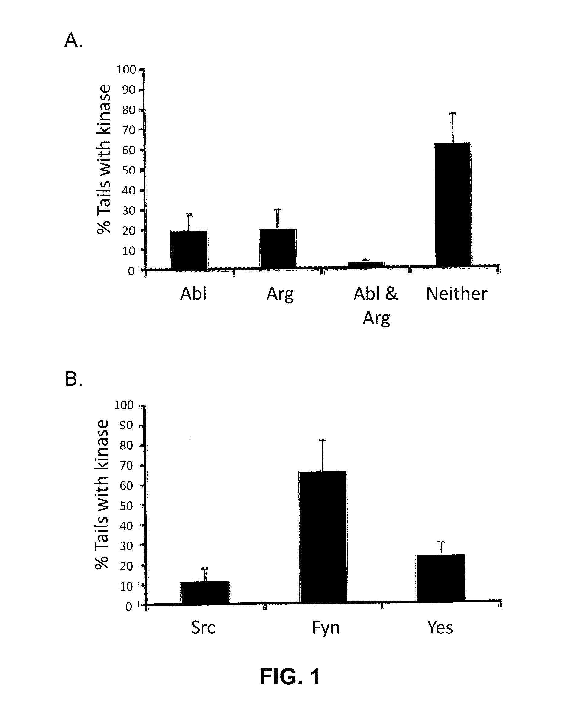 Compositions and methods of use for tyrosine kinase inhibitors to treat pathogenic infection